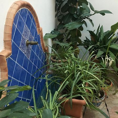 La Casa Del Rio Lejlighed Córdoba Eksteriør billede